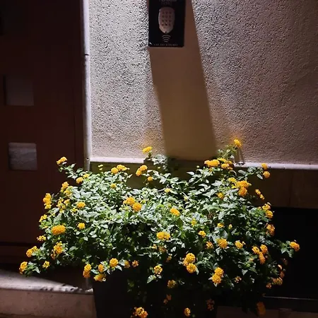 San Francesco And With Terrace In Locazione Turistica ベッド・アンド・ブレックファスト 2*