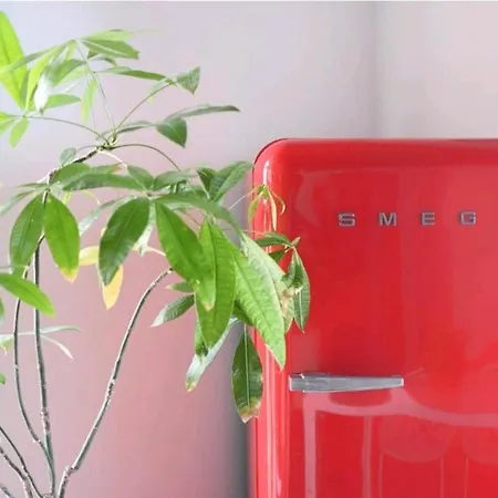 San Francesco And With Terrace In Locazione Turistica Panzió 4*